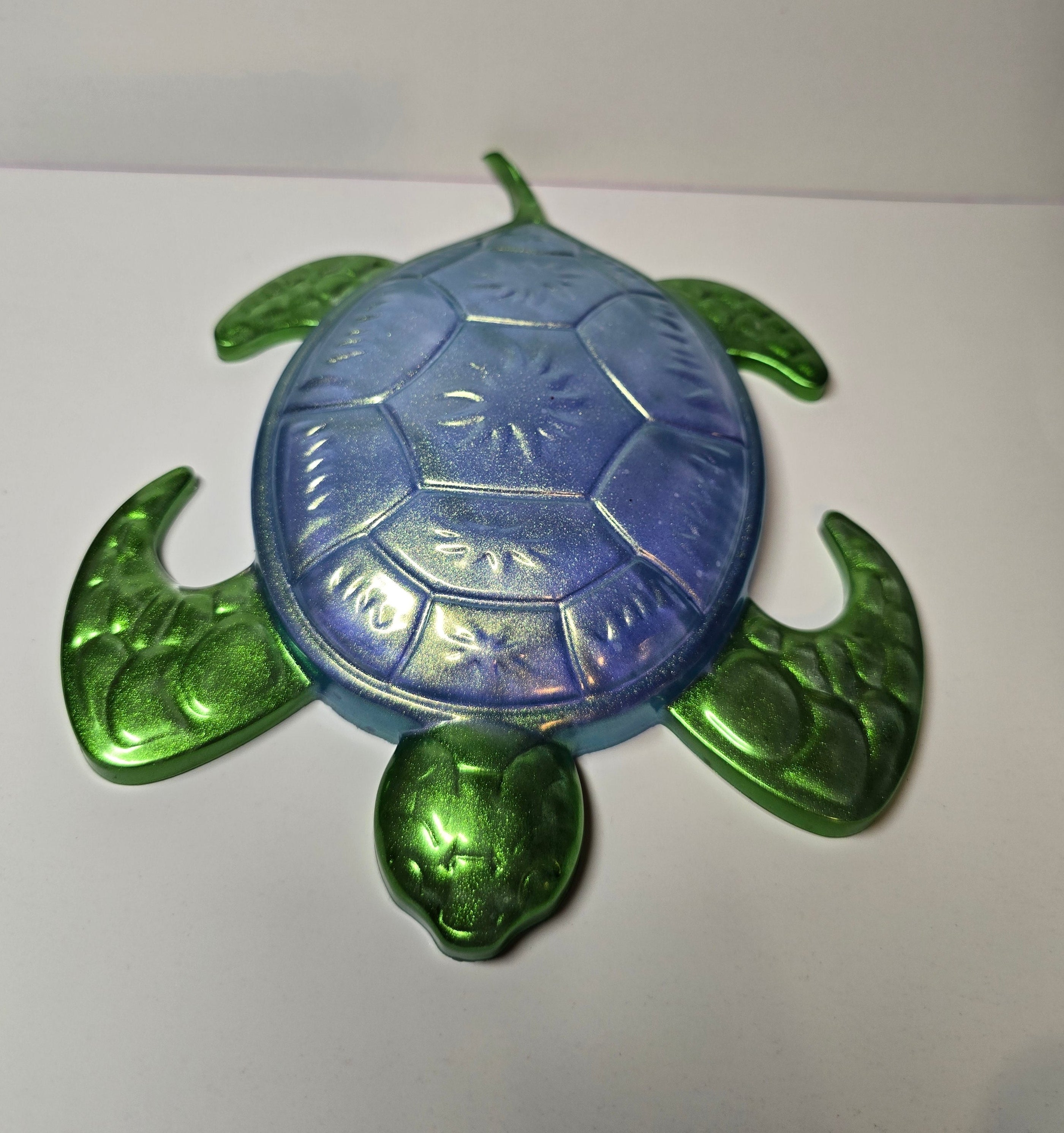 Glossy green sea turtle